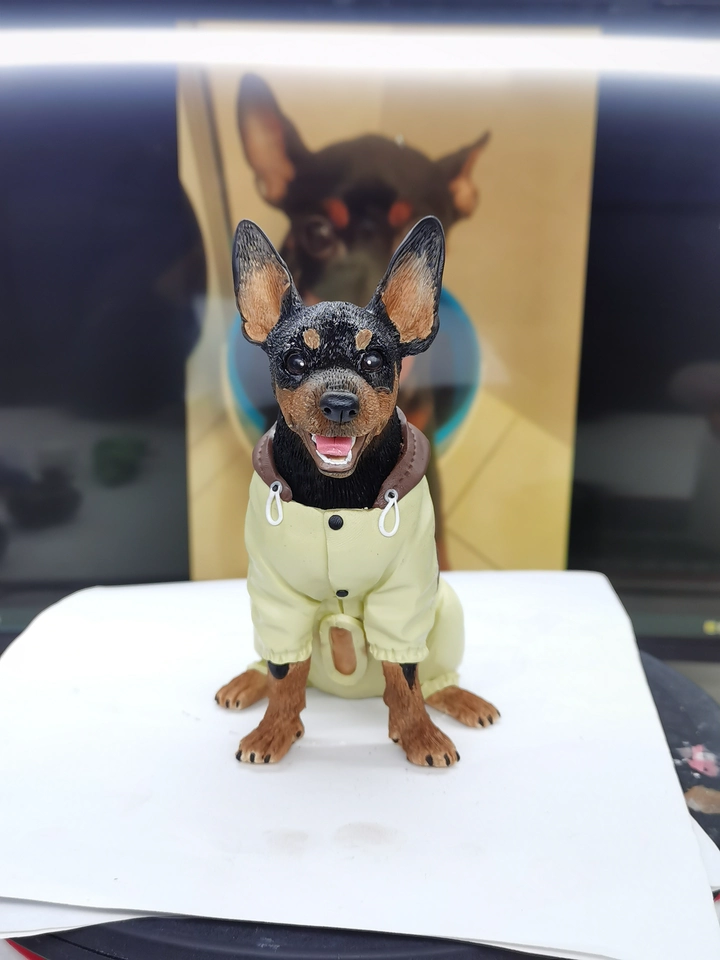 My dog's spirit captured perfectly! — custom pet doll photo